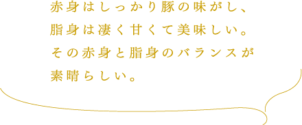 赤身はしっかり豚の味がし、脂身は凄く甘くて美味しい。その赤身と脂身のバランスが素晴らしい。